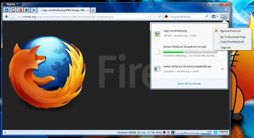 Firefox Download Panel