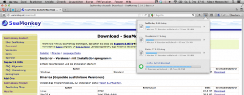 Firefox 19 Download-Panel