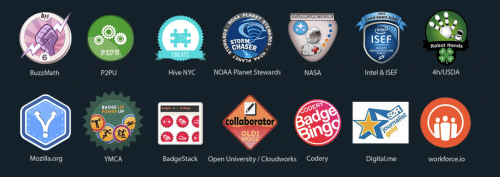 Current Issuer Badges