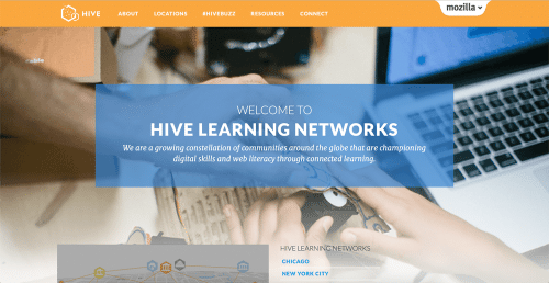 HIVE Learning Networks