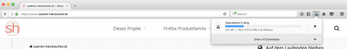 Download-Panel Firefox 53